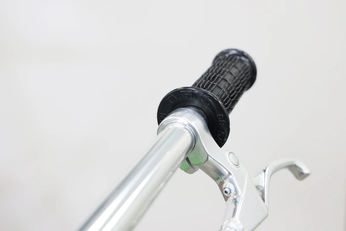 Fuji ALTERR SWJP