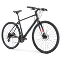 Fuji Absolute 1.9 19" Satin Black