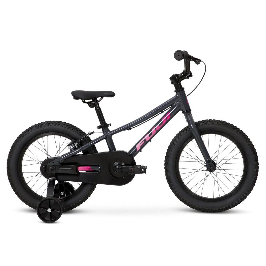 Fuji Dynamite 16 Coaster