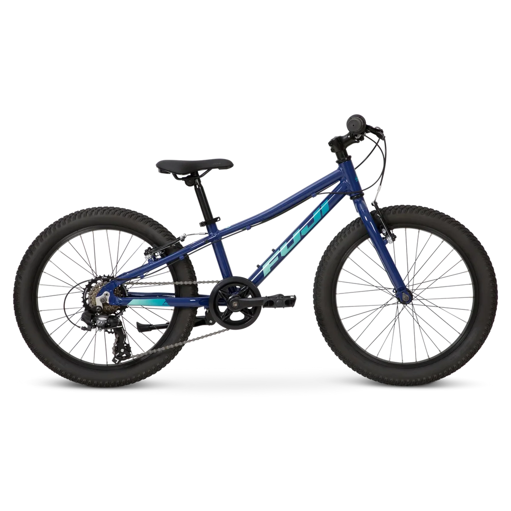 Fuji Dynamite 20