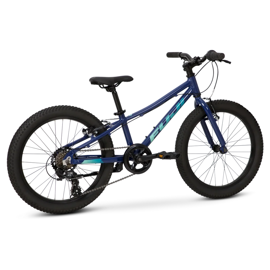 Fuji Dynamite 20