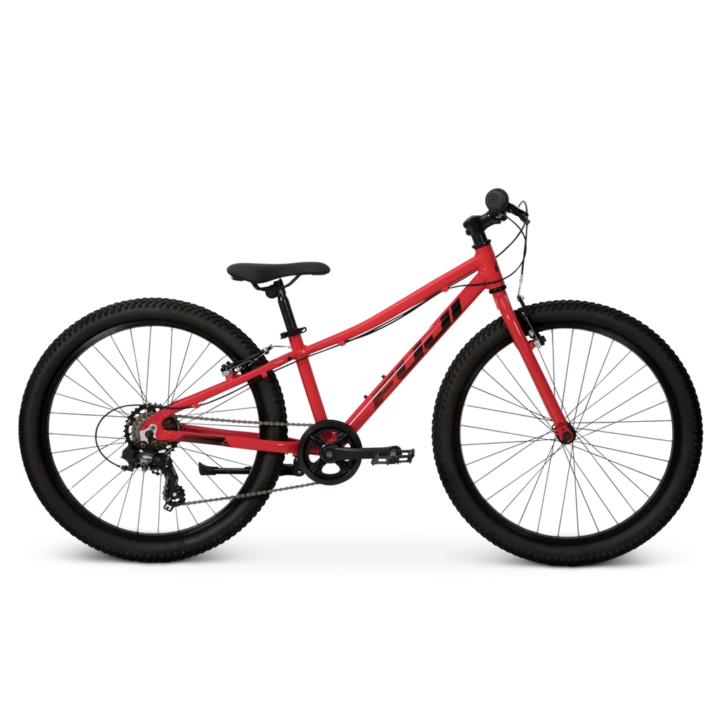 Fuji Dynamite 24
