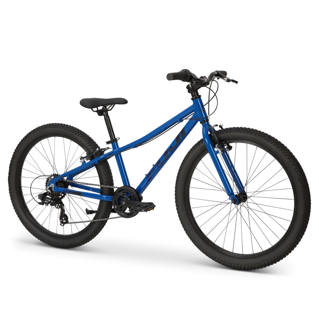 Fuji Dynamite 24