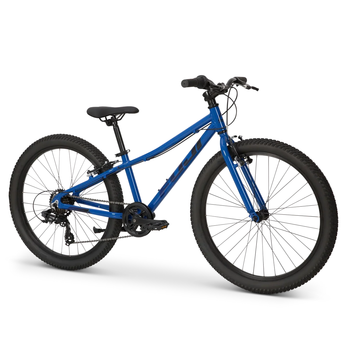 Fuji Dynamite 24