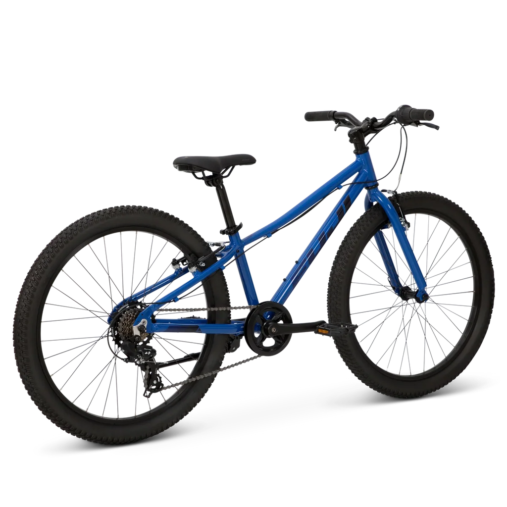 Fuji Dynamite 24