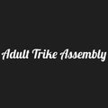 Adult Trike Assembly