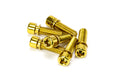 THEORY STEM BOLTS M8x1.25 PACK OF 6 GOLD