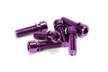 THEORY STEM BOLTS M8x1.25 PACK OF 6 PURPLE