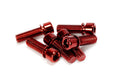 THEORY STEM BOLTS M8x1.25 PACK OF 6 RED